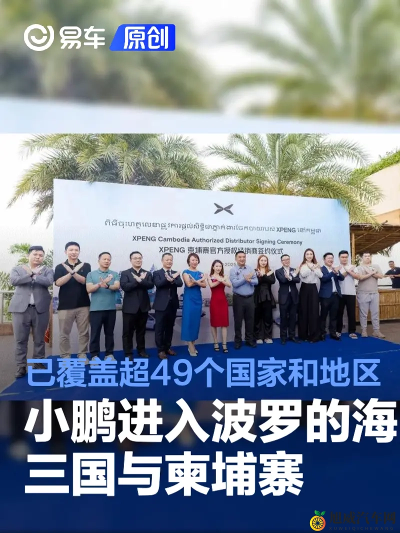 最好看了2019年中文：2019年度中文精选盘点，不容错过-2