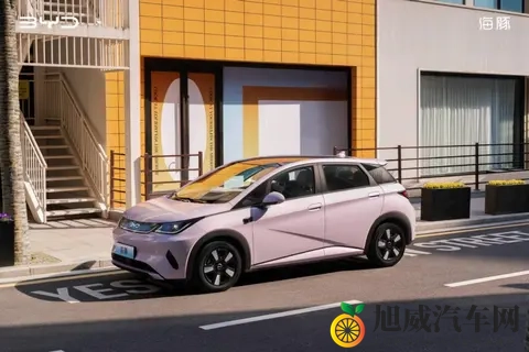 10万级，高阶智驾+冰箱，颜值还很高｜海豚如何选？-2