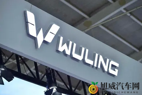 亭亭玉立国色天香：独特设计，豪华体验，这款车型魅力无限-3