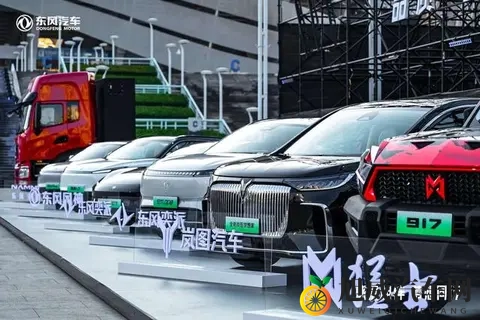 路上不认识的车标，是大厂换马甲-2