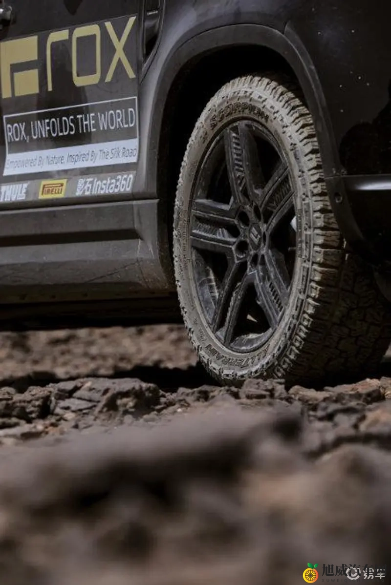 欧美老妇浓毛大泬毛茸茸：欧美女性浓密毛发引人注目-2