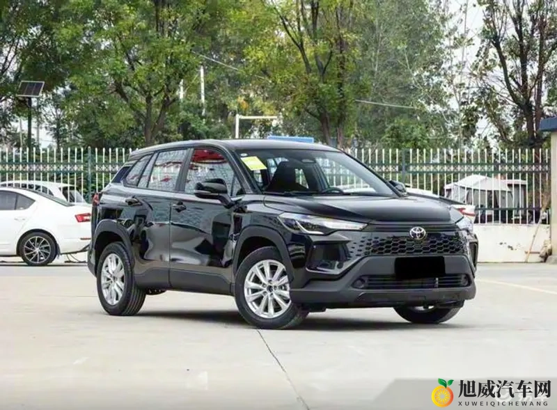 啄木鸟 满天星 总统夫人 夸克：豪华轿车新宠，总统夫人出行首选车型揭秘-1