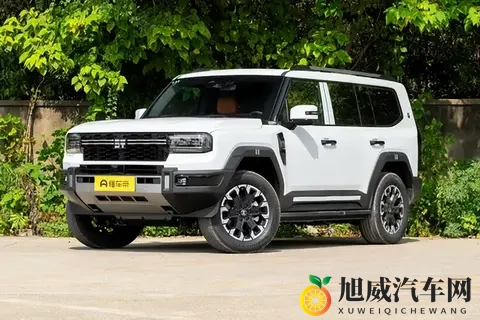 续航1400km、越野配置拉满，不到40万你能拒绝它吗？-2