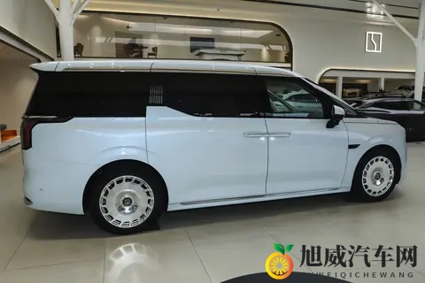 宜商宜家的极氪009，为什么成为越来越多家庭的出行伙伴？-2