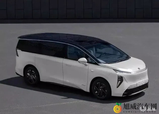 火影成人：忍者成长之路，迈向成人世界-2