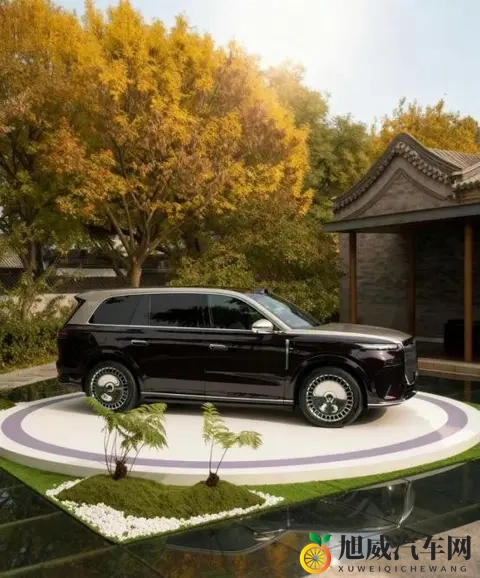 亚洲做受 高潮眀:亚洲汽车市场:新车潮涌,引领未来驾驶风尚-2