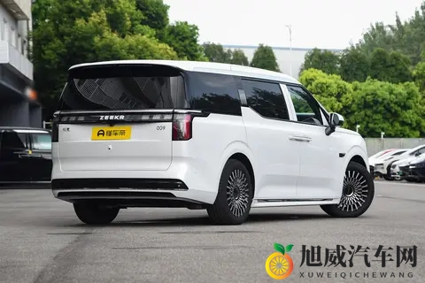 置换金10000元，还有全家度假豪礼，极氪009凭啥这么火？-1