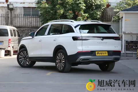 2026款大众揽巡选买指南：直降5万后，这版家用越野双适配-3