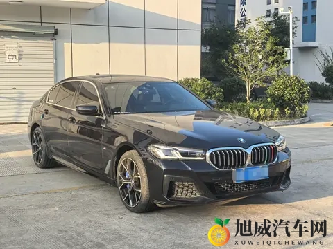 25万多拿下宝马5系，2022款530Li，体验豪华驾驭！-1