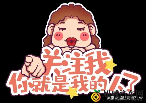 买合资还是选它 奔腾T77 Pro配置表让纠结党破防 评论区吵成一锅粥-1