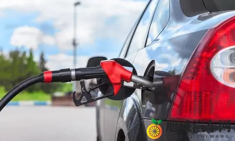 最好看的2019中文：2019汽车市场：新能源领跑，科技盛宴-3