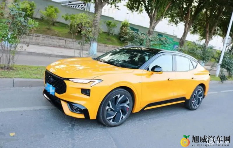 好色TV：视觉盛宴，多彩荧屏-1