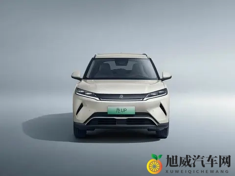 10万预算买纯电车，这五款“销量王”值得一看！-3