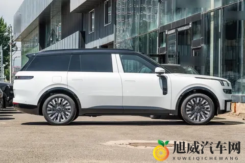 别让“大三排”变“大焦虑”，乐道L90和领克900谁更懂二胎家庭？-1