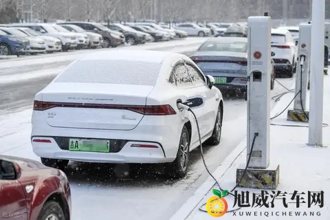 燃油车真的凉了？99% 车主用脚投票，这组数据戳破争议-2