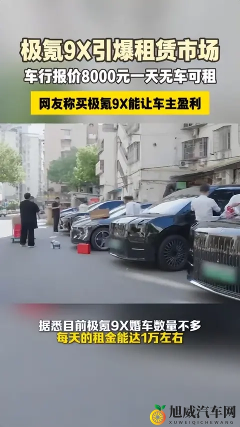 极氪9X成全球爆款理财产品，海外加价5-10万求购-1