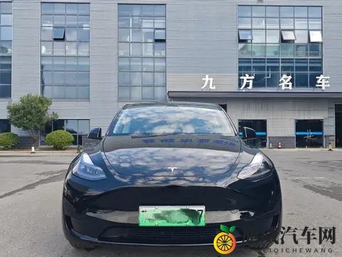 一手准新Model Y：75万公里，166万体验科技出行？-2