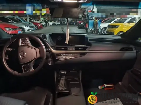 1698万，入手银灰色雷克萨斯ES，宜商宜家之选-3