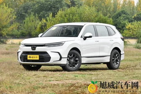 2025 款皓影选车指南，我推荐这四款！-1