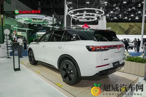 性直播:汽车营销新招:直播试驾引关注-3