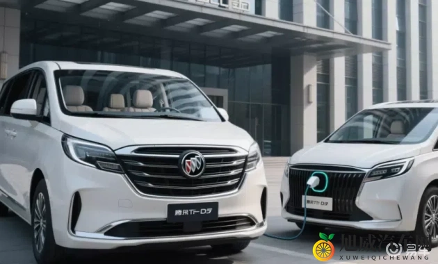 XAX MANTA UZUN HAYA什么意思：揭秘：神秘车型XAX MANTA引关注-1