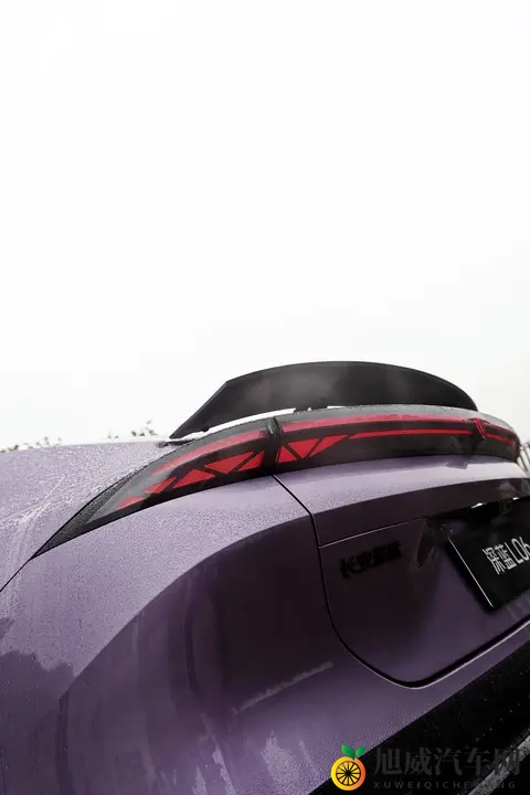 深蓝L06这个紫太漂亮了！-2