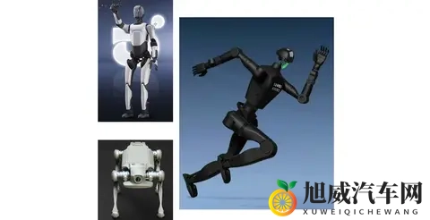 汽车Tier1的下一个十年，赌在机器人？-2