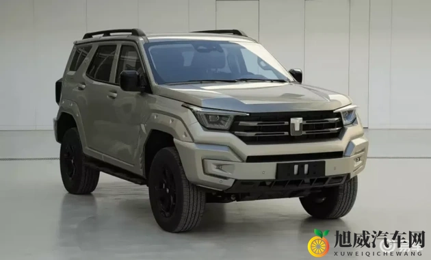 五年沉淀只做精品:汽车制造新篇章:专注品质,铸就品牌传奇-1