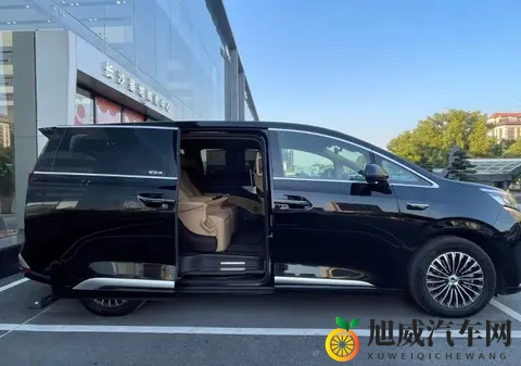 2025年“燃油MPV”新排名：冠军车型变了，九个月销售出6万多台-1