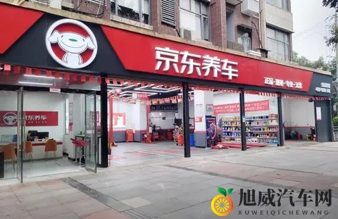 租电购买价499万元，京东“国民好车”真的香吗？-2