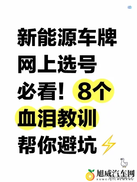 新能源网上选号必看！8个血泪教训帮你避坑-1