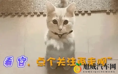 黄色App下载大全：智能驾驶App：安全出行新助手-2