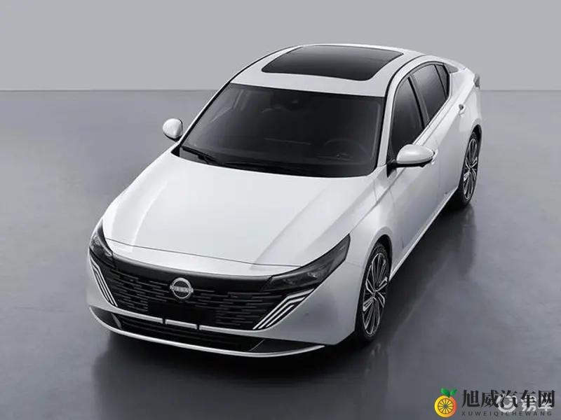 蓬莱山花样年华EP16：《蓬莱仙境，青春旋律，第十六篇章》-2