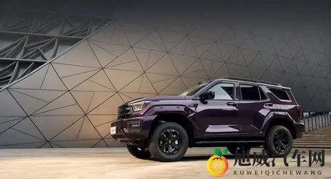 新款坦克400上市，2498万起售，四种动力可选！-2