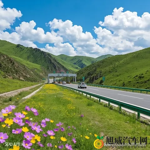 高速公路的治理挑战-1