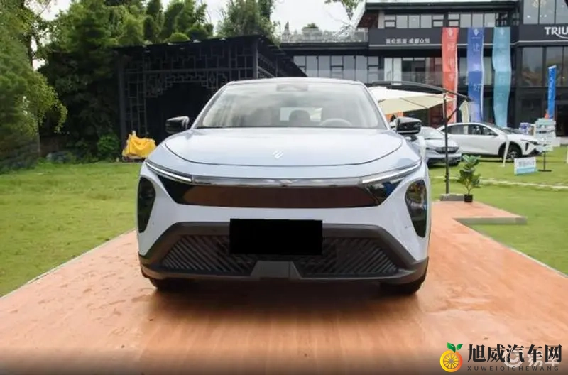 黄色软件安装下载：汽车软件升级，体验驾驶新境界-2