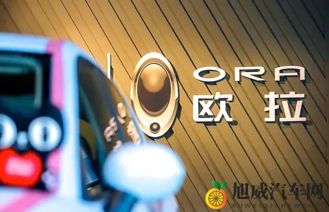 靠欧拉5这款纯电SUV，长城欧拉能不能翻盘？-2