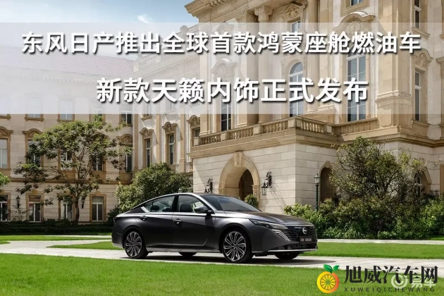 偷拍农村妇女AAA片：农村妇女驾驭智能车，揭秘未来出行新潮流-1