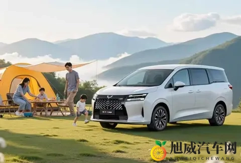 燃油车突然集体登场,新能源慌了吗?老司机们却笑了-1