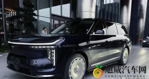 智己LS9街头偶遇记-1