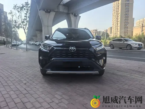 亚洲人毛茸茸：汽车内饰新潮流：毛茸茸设计引领舒适风潮-2