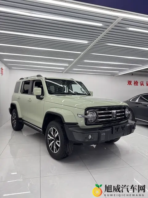 16万多拿下坦克300,圆你硬派越野梦-3