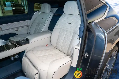 蔚来ET9地平线特别版：国产高端旗舰轿车，不输传统豪华车？-2