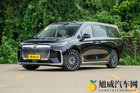 26款岚图梦想家车主真实评价，宜家宜商，实力诠释华系三旗舰-2