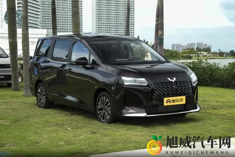 10万级MPV新标杆!星光730空间大、动力强,家用真香!-1