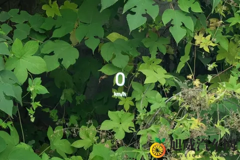 腾势 N8L DM 2025 款旗舰型:家庭豪华出行的全能之选-2