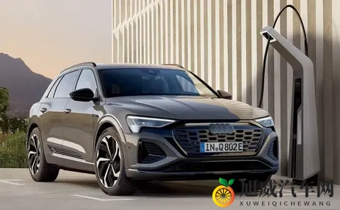 Q8 E-Tron阵亡后的“答卷”：奥迪2026的现实与无奈-3