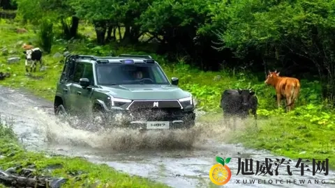 2025年中国最佳动力总成出炉：坦克、吉利、捷途、仰望等品牌入选-3