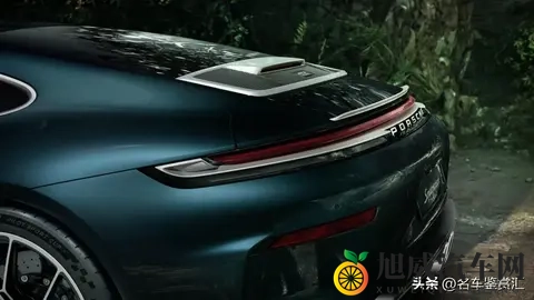 保时捷推出全新Sonderwunsch定制版911 GT3 “豹猫”-3