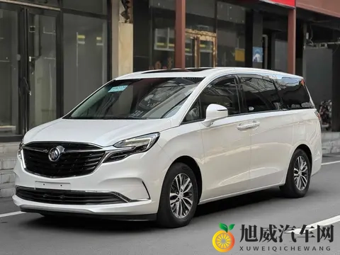 20万拿下宜商宜家神器，体验二手别克GL8陆尊！-2